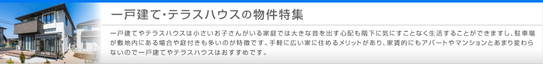 一戸建て・テラスハウスの物件特集