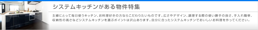 システムキッチンがある物件特集